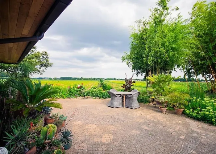 Countryside - Experience